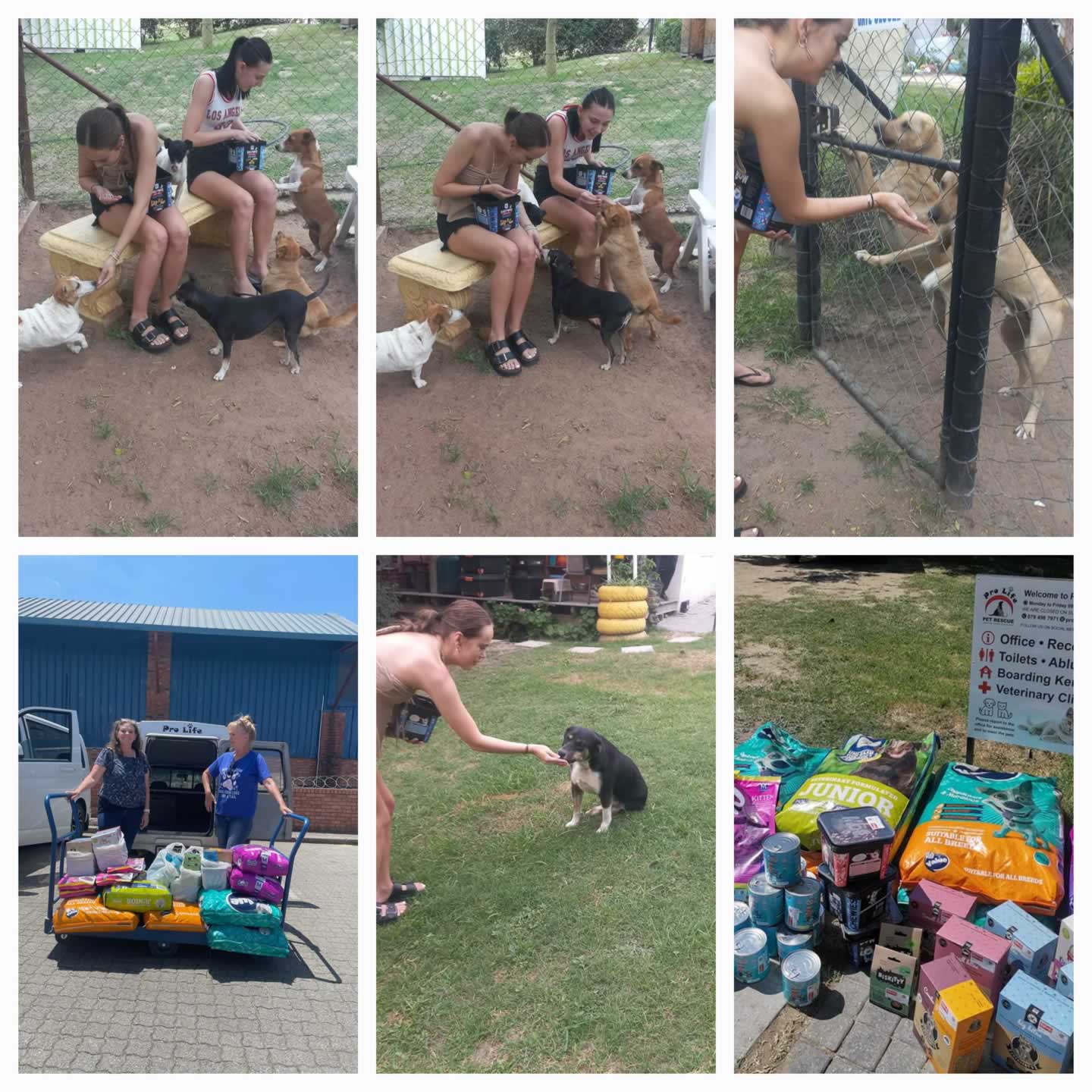 Pro Life Pet Rescue